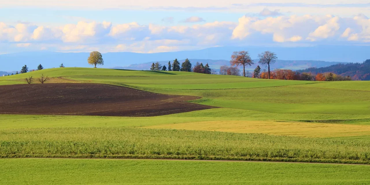 🌿 Let Us Cast Away Our Delusions: Jung Shin Truth Universe Freedom Enlightenment | Master Woo Myung | Santa Clara Meditation
