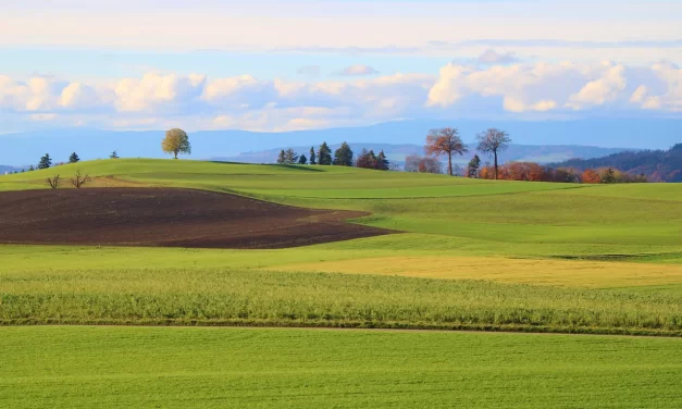 🌿 Let Us Cast Away Our Delusions: Jung Shin Truth Universe Freedom Enlightenment | Master Woo Myung | Santa Clara Meditation
