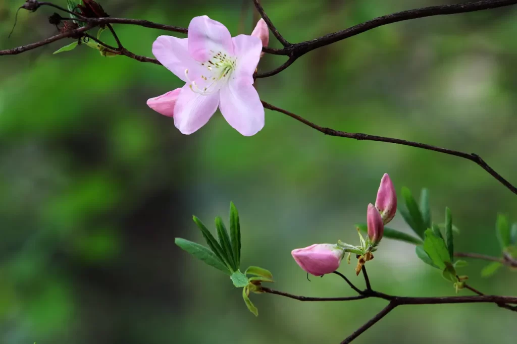 Master Woo Myung what does God mean spirit soul truth