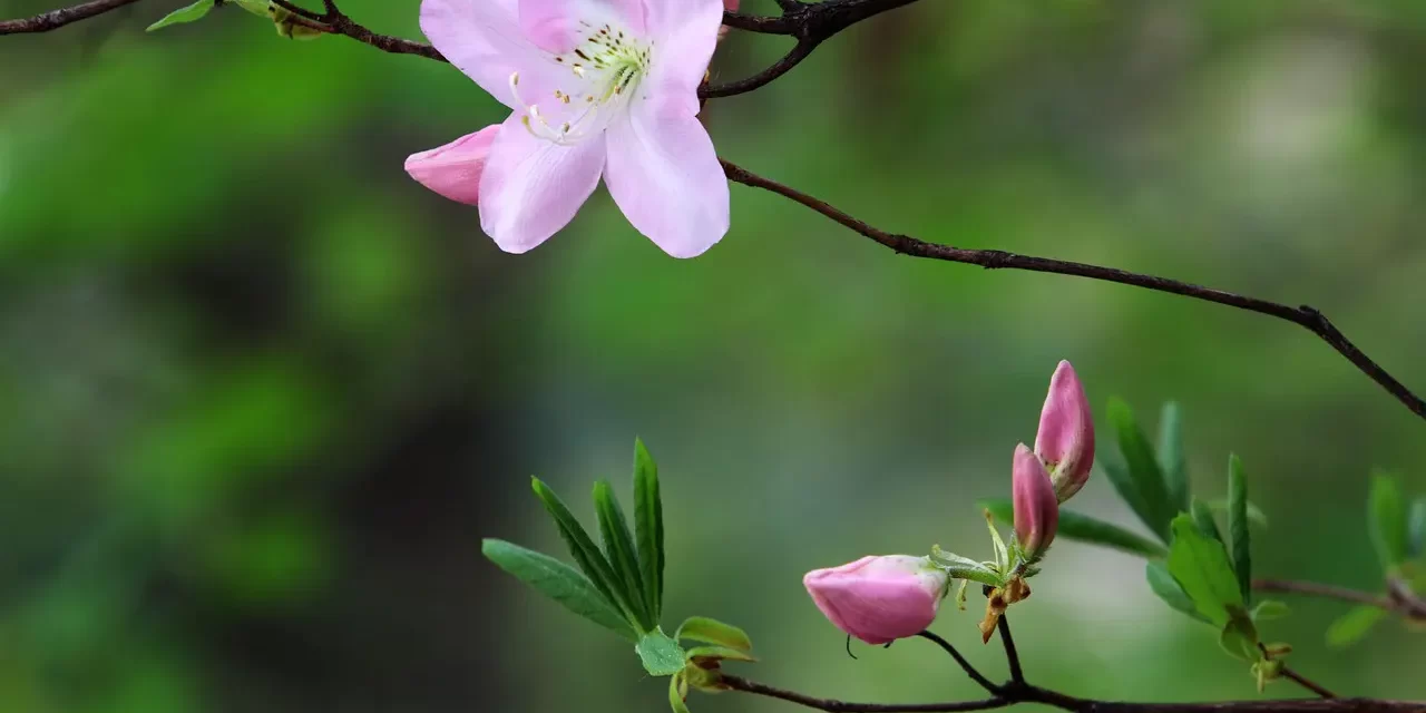 ✨ What Does God Mean: Spirit Soul Truth Universe Salvation | Master Woo Myung | Santa Clara Meditation