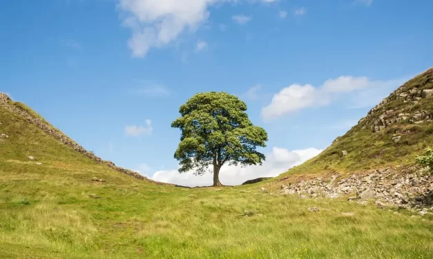 🕯️ How to Escape from Guilt: Letting Go Sin Mind Truth Freedom | Master Woo Myung | Santa Clara Meditation