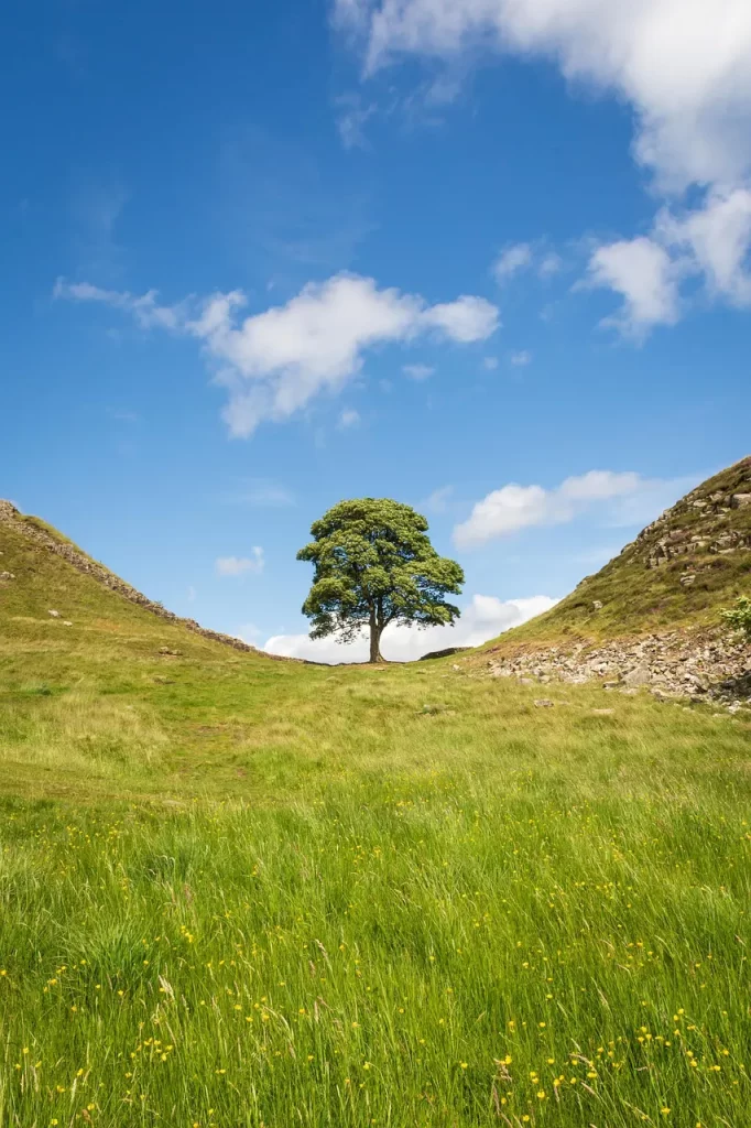 Master Woo Myung escape from guilt letting go sin mind truth meditation teaching