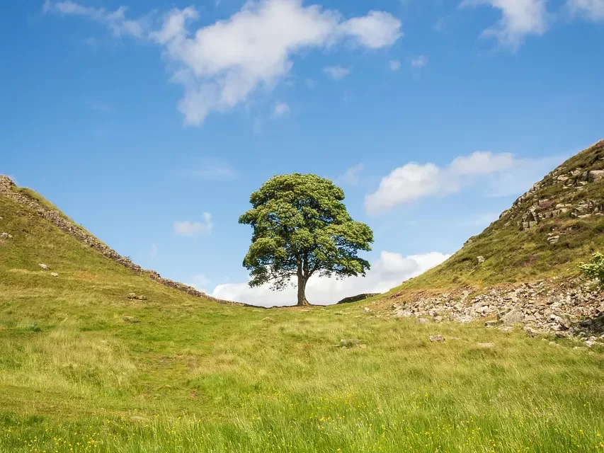 🕯️ How to Escape from Guilt: Letting Go Sin Mind Truth Freedom | Master Woo Myung | Santa Clara Meditation