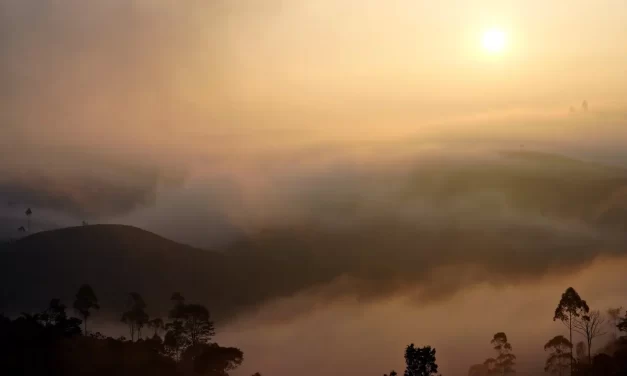 🌅 Light and Darkness II: True Mind and the Way of the World | Master Woo Myung | Santa Clara Meditation