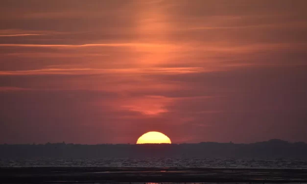 🌟 Q&A on the Mind and Truth: Heaven Hell Karma Salvation Universe | Master Woo Myung | Santa Clara Meditation