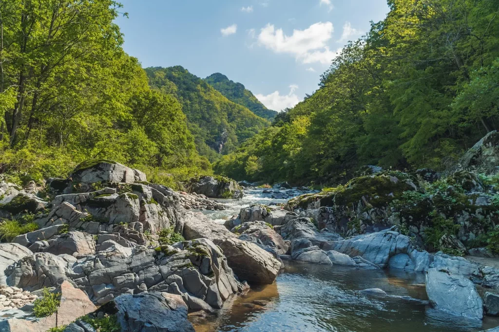 Master Woo Myung pravrajya enlightenment family truth meditation path