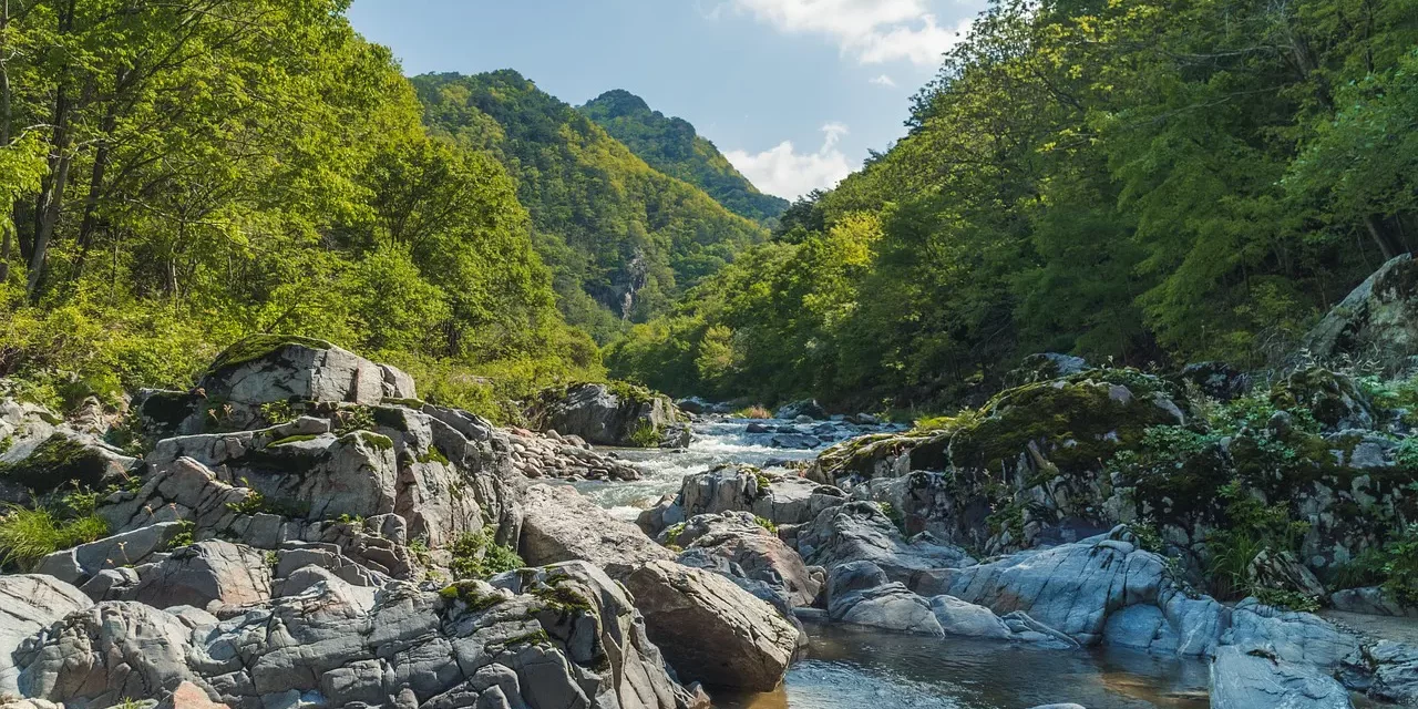 🏔️ Pravrajyā: The True Path Beyond Ascetic Life | Master Woo Myung | Santa Clara Meditation