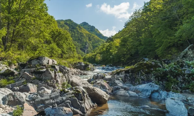 🏔️ Pravrajyā: The True Path Beyond Ascetic Life | Master Woo Myung | Santa Clara Meditation