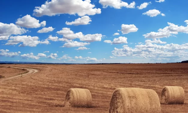 💰 How to Save Money: Key Mindset Stop Overspending Financial Discipline Clarity | Master Woo Myung | Santa Clara Meditation