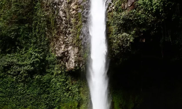 🌌 Creation of the Universe and Becoming One with God | Master Woo Myung | Santa Clara Meditation