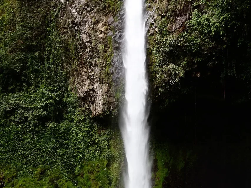 🌌 Creation of the Universe and Becoming One with God | Master Woo Myung | Santa Clara Meditation