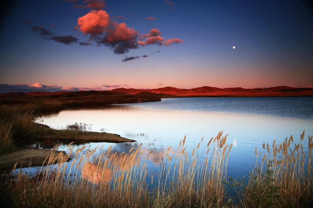 Master Woo Myung saviors work salvation truth way life land of truth meditation