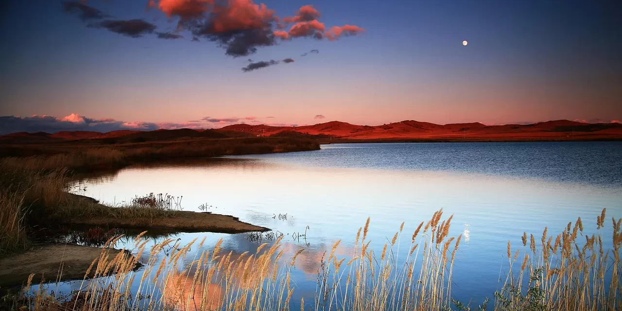 🌟 What Work Do the Saviors Do and How Do They Save the World | Master Woo Myung | Santa Clara Meditation