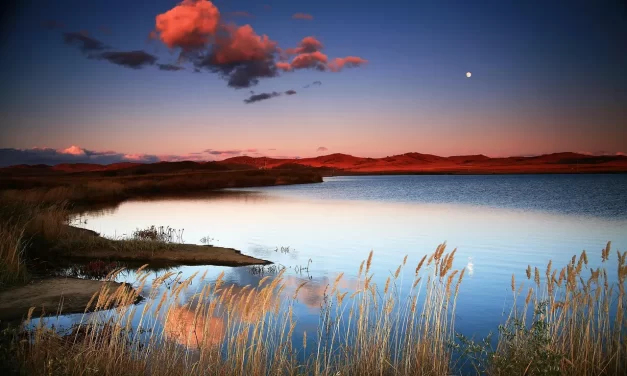 🌟 What Work Do the Saviors Do and How Do They Save the World | Master Woo Myung | Santa Clara Meditation