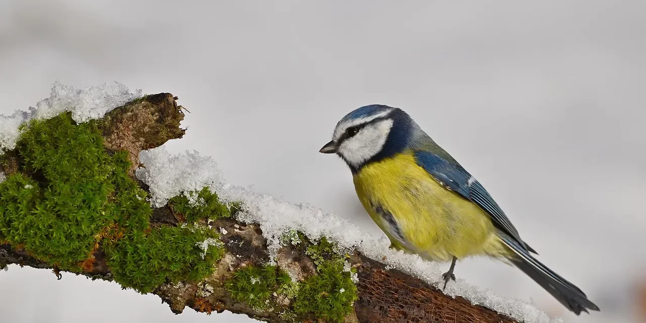 🍶 Drinking: Nostalgia Loneliness Life Reflection Truth Transformation | Master Woo Myung | Santa Clara Meditation