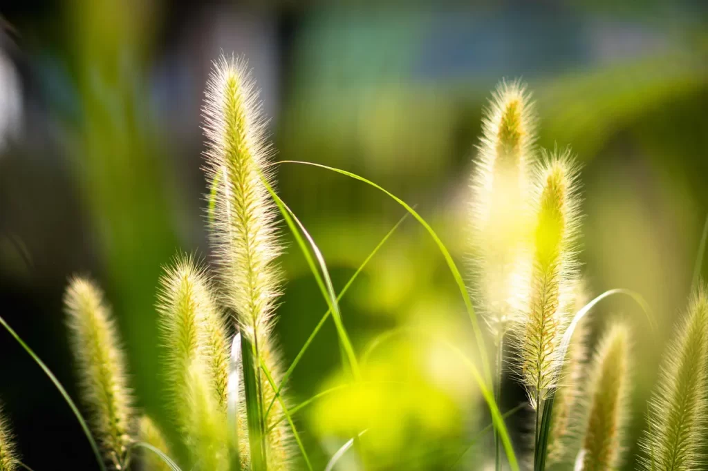 Master Woo Myung mea culpa meaning catholic repentance sin truth meditation teaching