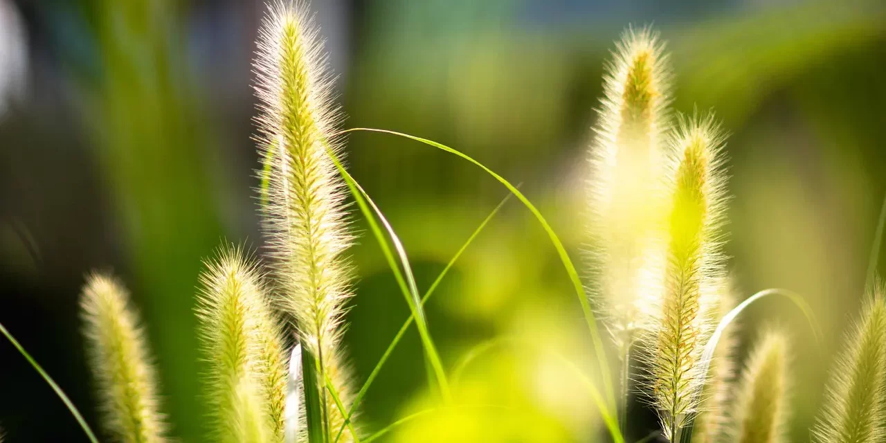 🙏 Mea Culpa Meaning: Catholic Repentance Sin Truth Self Reflection | Master Woo Myung | Santa Clara Meditation