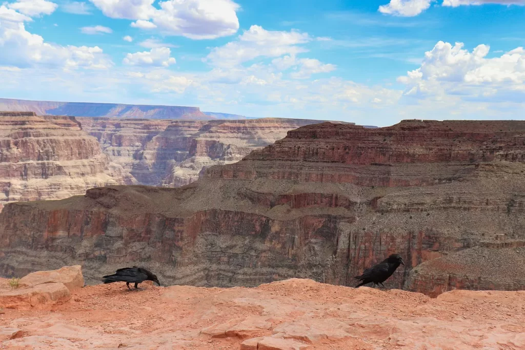 Master Woo Myung true world rebirth resurrection truth universe meditation teaching