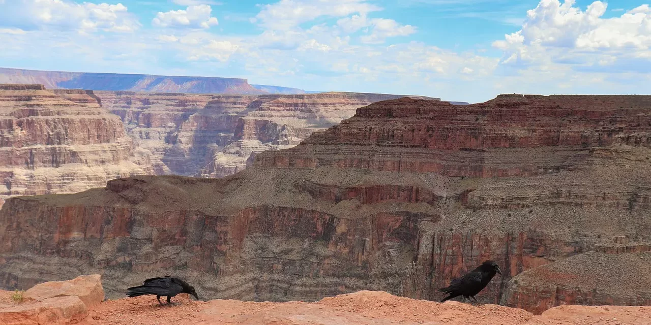 🌌 In Order to Go to the True World: Rebirth Resurrection Truth Universe Salvation | Master Woo Myung | Santa Clara Meditation