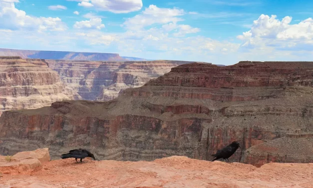 🌌 In Order to Go to the True World: Rebirth Resurrection Truth Universe Salvation | Master Woo Myung | Santa Clara Meditation