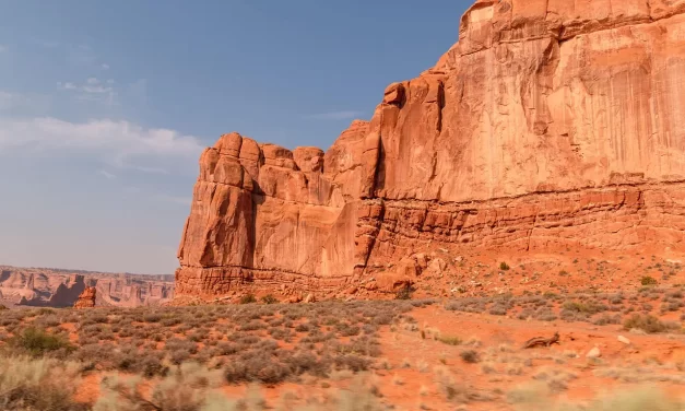 🌿 Heaven’s Intention for Salvation: Unity Truth Human Purpose Enlightenment | Master Woo Myung | Santa Clara Meditation