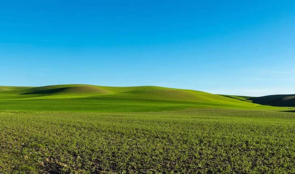 Master Woo Myung enlightenment world truth consciousness meditation