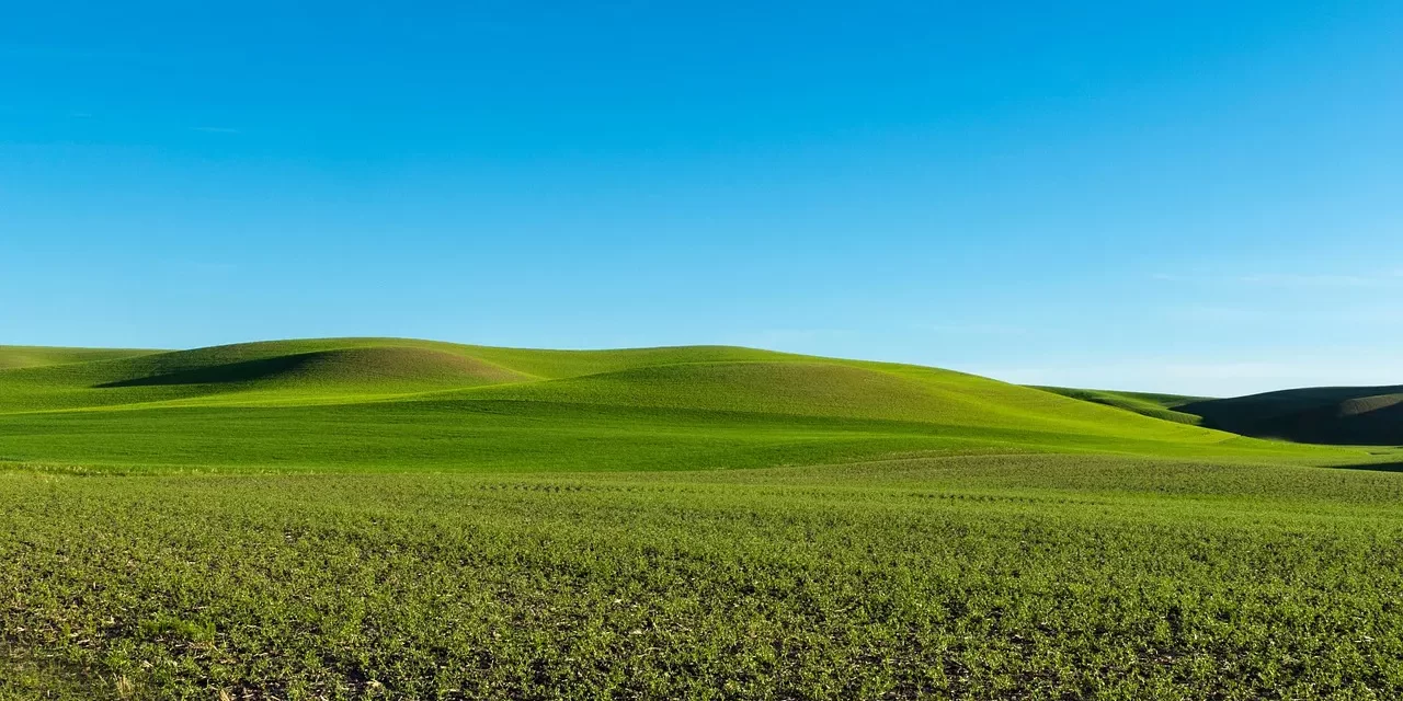 🌍 The World Is Already Enlightened — Why Are We Not? | Master Woo Myung | Santa Clara Meditation