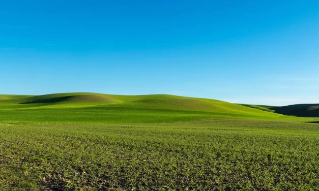 🌍 The World Is Already Enlightened — Why Are We Not? | Master Woo Myung | Santa Clara Meditation