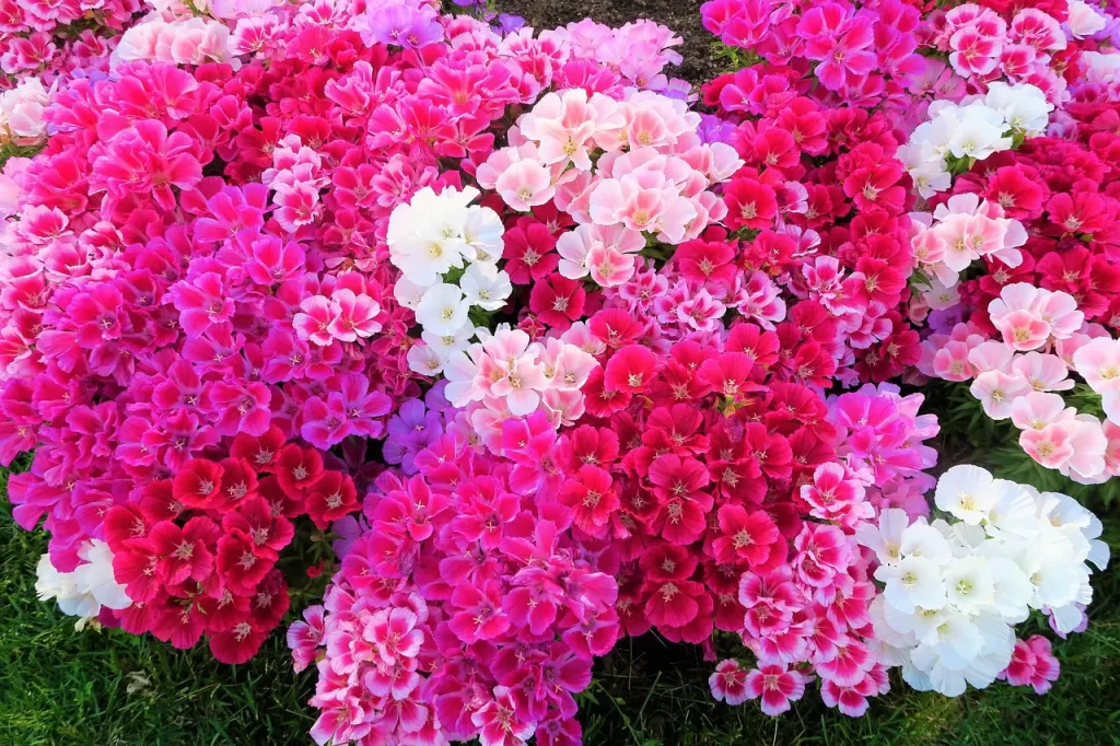 Master Woo Myung meditation experience family happiness transformation Santa Clara Meditation