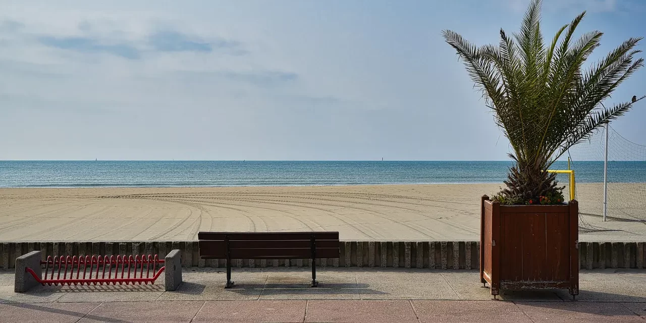 🌬️ My Chronic Rhinitis Disappeared – Meditation Testimonial | Santa Clara Meditation