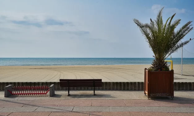 🌬️ My Chronic Rhinitis Disappeared – Meditation Testimonial | Santa Clara Meditation