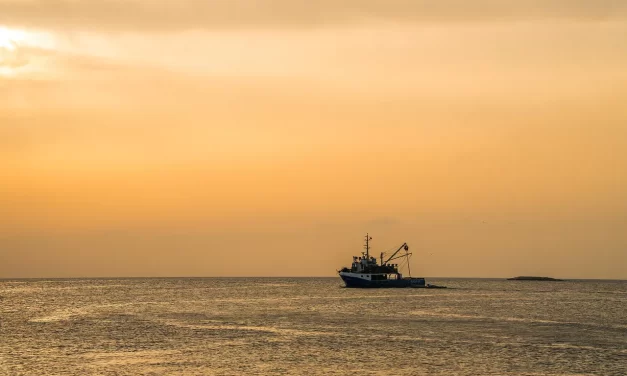 🌊 An Island Journey During My Youth: Life Reflection Ocean Time Dream Truth | Master Woo Myung | Santa Clara Meditation