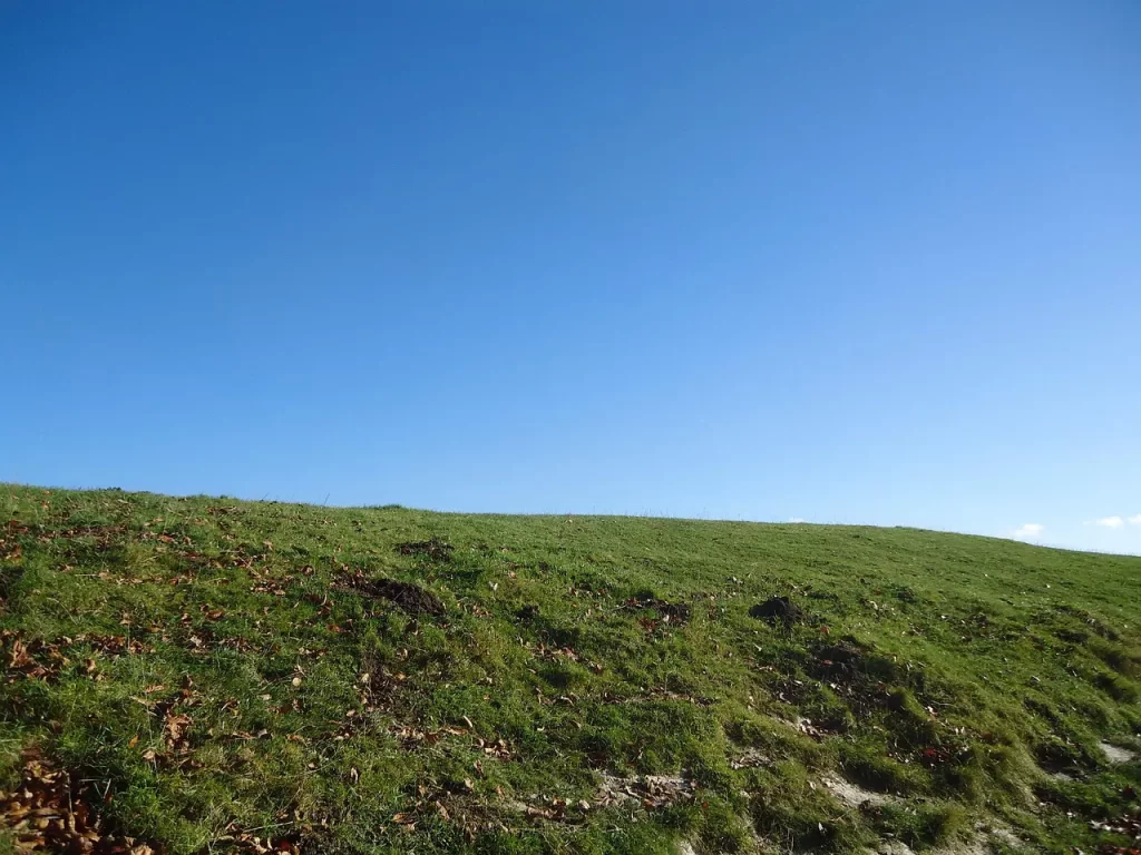 Master Woo Myung all are one oneness universe freedom liberation meditation teaching