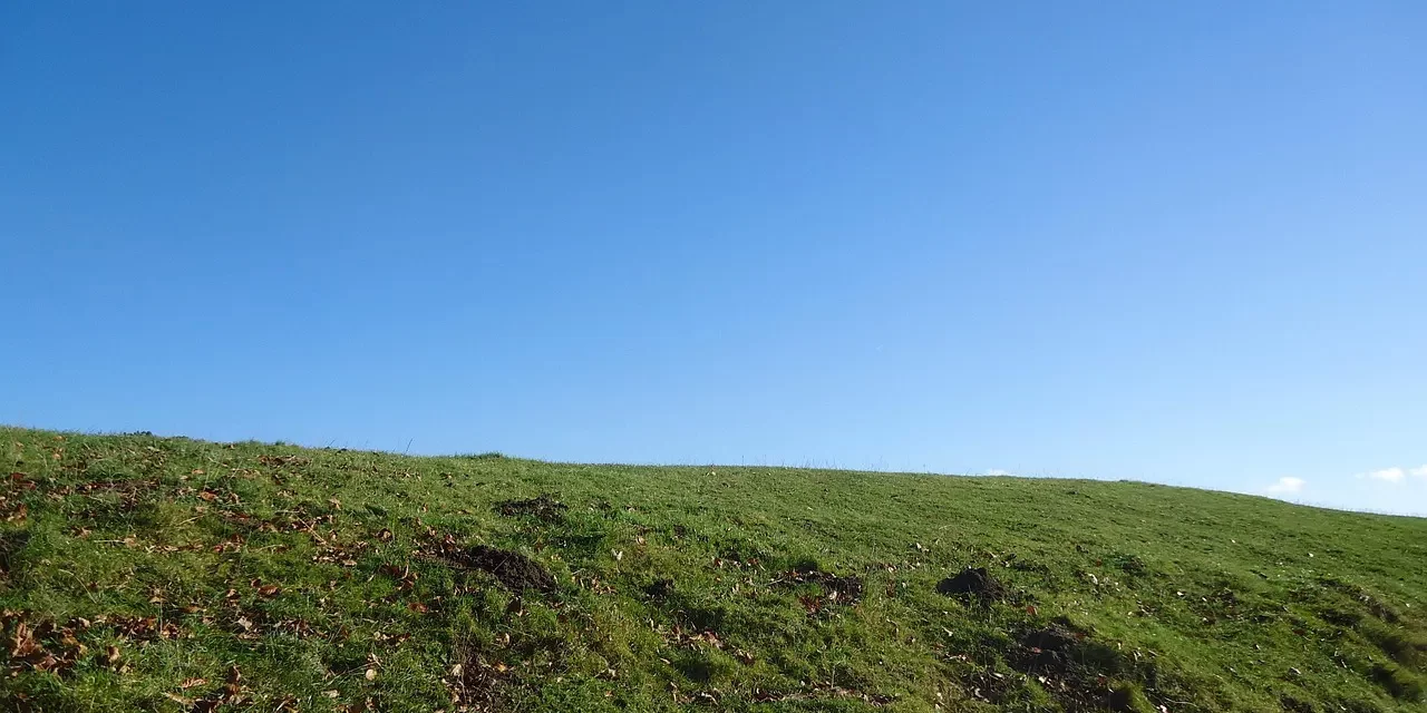 🌌 All Are One: Oneness Universe Freedom Liberation Truth Heaven Earth | Master Woo Myung | Santa Clara Meditation