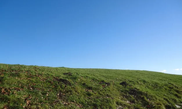 🌌 All Are One: Oneness Universe Freedom Liberation Truth Heaven Earth | Master Woo Myung | Santa Clara Meditation