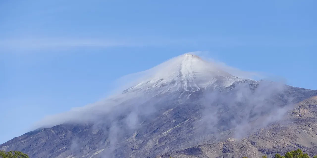 🌿 Humans Can Become Truth: Rebirth Awakening True Mind Method | Master Woo Myung | Santa Clara Meditation