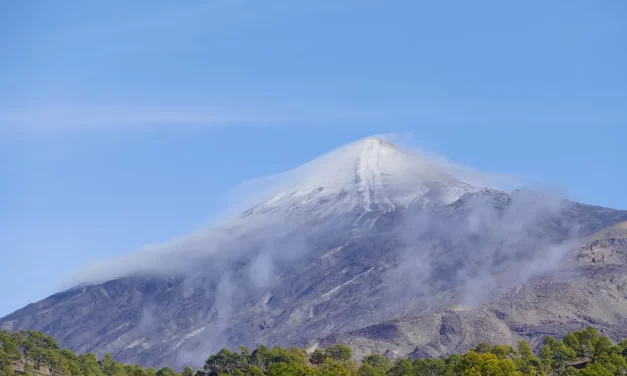 🌿 Humans Can Become Truth: Rebirth Awakening True Mind Method | Master Woo Myung | Santa Clara Meditation