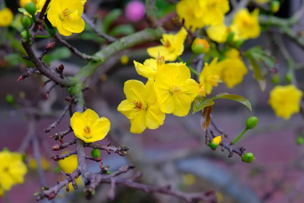 productivity hack how to be productive focus deep work meditation teaching