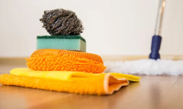 ✨ From OCD to a Normal Life – Meditation Testimonial | Santa Clara Meditation