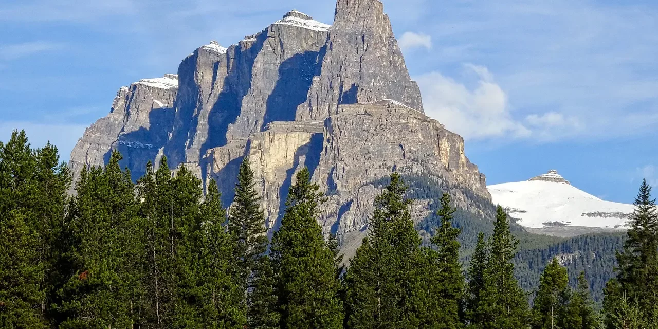 ✨ The Way Truth Life: Masters Salvation Rebirth Eternal World | Master Woo Myung | Santa Clara Meditation