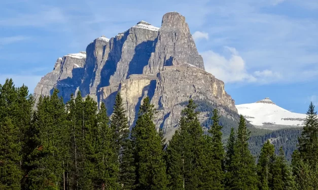 ✨ The Way Truth Life: Masters Salvation Rebirth Eternal World | Master Woo Myung | Santa Clara Meditation