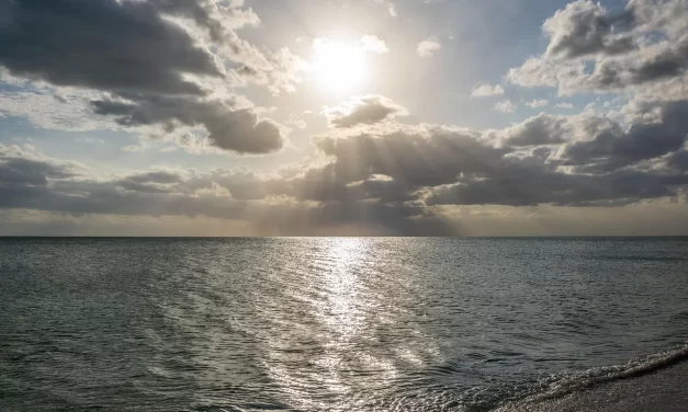 🌌 How to Go to Heaven: Paradise Bliss Truth Rebirth Enlightenment | Master Woo Myung | Santa Clara Meditation