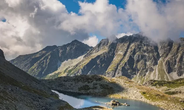 🌿 Our Land I: One Land Truth Life Rebirth Paradise Living World | Master Woo Myung | Santa Clara Meditation