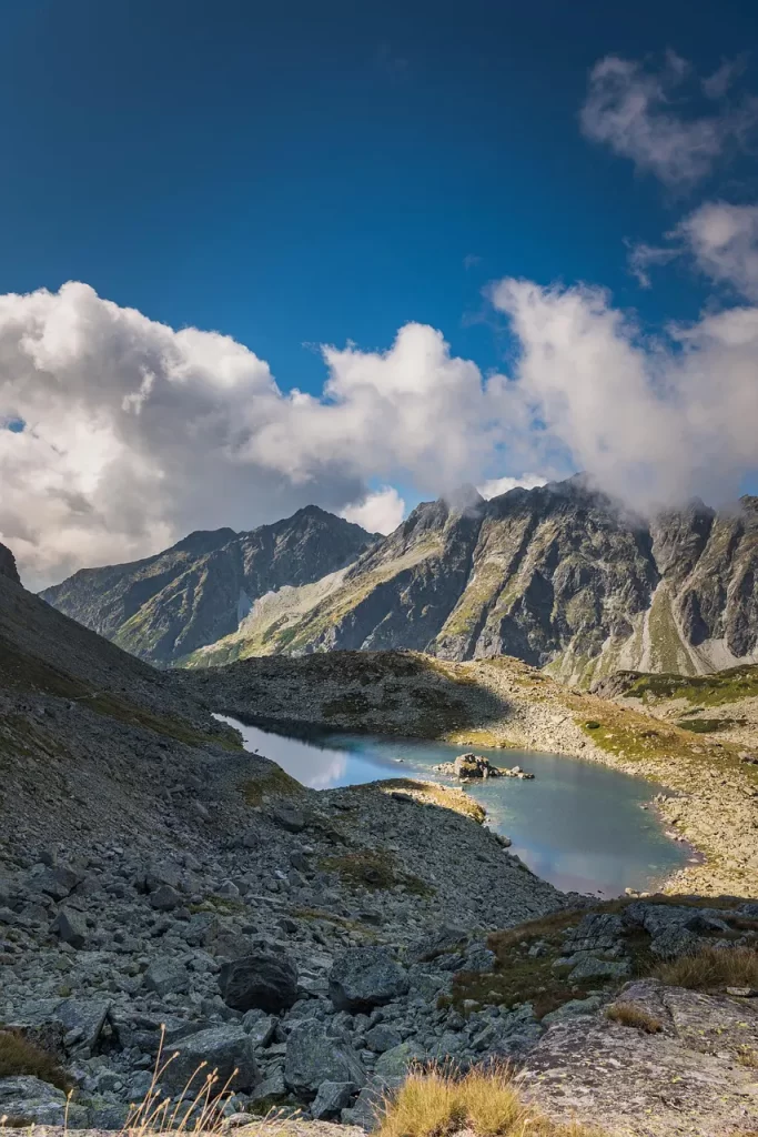 Master Woo Myung our land truth life rebirth paradise meditation teaching