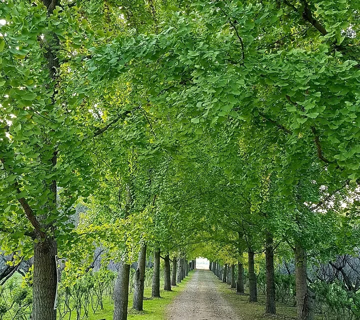 ✨ Meditation to Change Life: Break Habits Transform Mind Truth | Master Woo Myung | Santa Clara Meditation