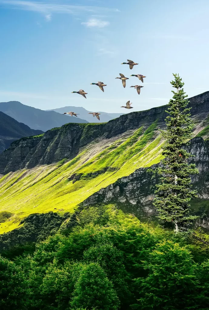 Master Woo Myung how to meet God emptiness truth