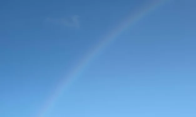 🌌 Only One Who Becomes Heaven Can Know Its Will | Master Woo Myung | Santa Clara Meditation