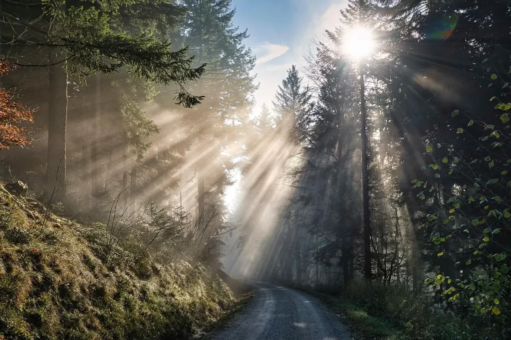 Master Woo Myung acceptance wisdom compassion meditation truth