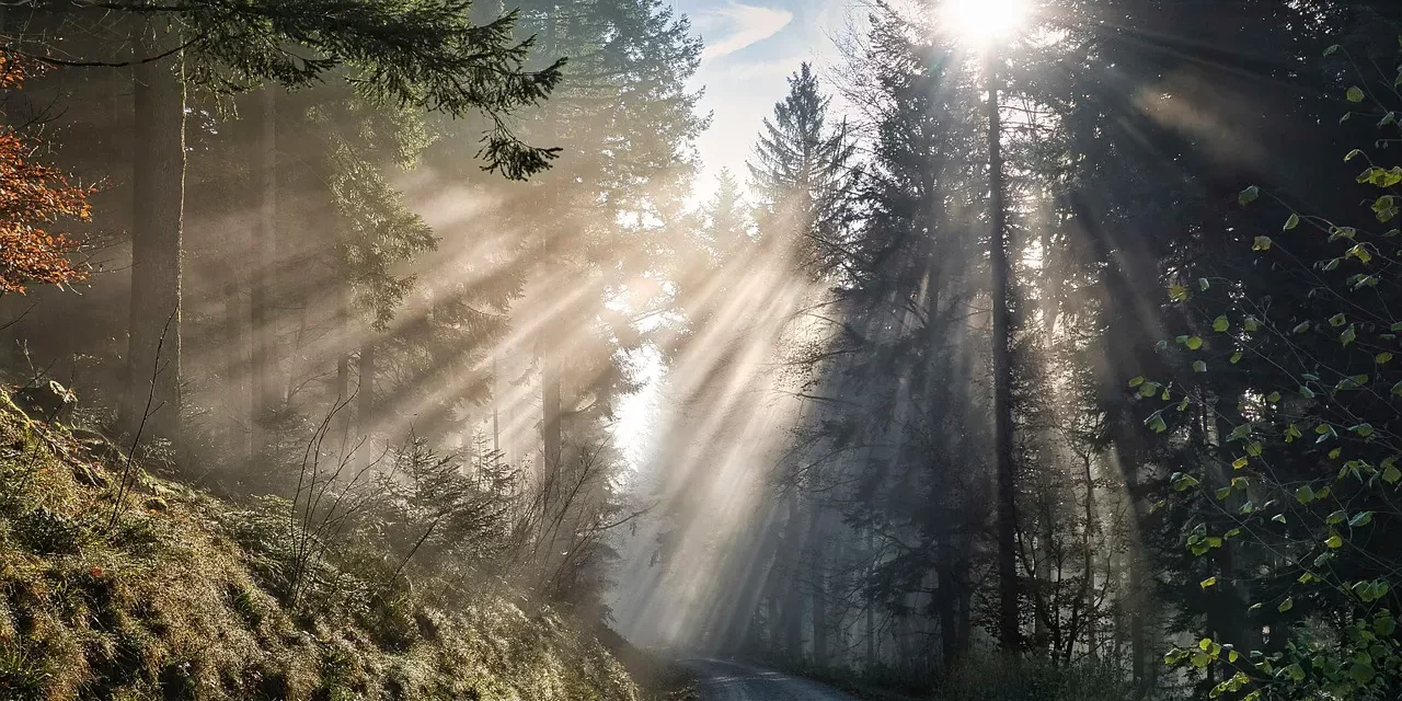 🌿 Acceptance Is the Greatest Thing of All | Master Woo Myung | Santa Clara Meditation