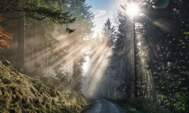 🌿 Acceptance Is the Greatest Thing of All | Master Woo Myung | Santa Clara Meditation